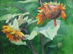 Holly Harmon